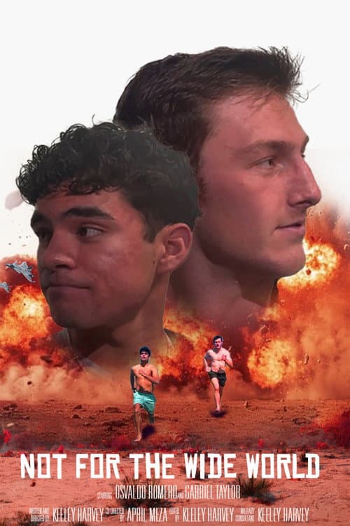 Not for the Wide World